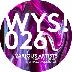 PREMIERE: Jacob Husley - So Hot (S.A.M. Reshape) [WYS!026]