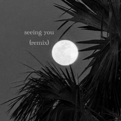 seeing you (remix)
