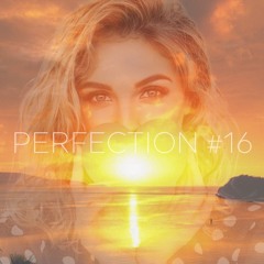 PERFECTION #16