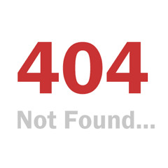 404 not found(demo)