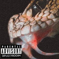 KZRL - SNAKE