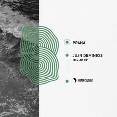 Juan Deminicis - Prana (Original Mix)