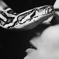 Best Option (Prod. Ill Instrumentals)