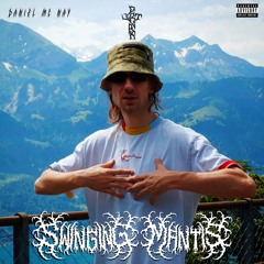 Swinging Mantis Prod. by Daniel Mc Nay