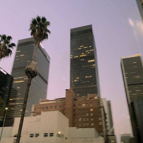 ethnvs, corp+ & parkervs* - 🌴