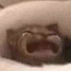 emotional meow 😔