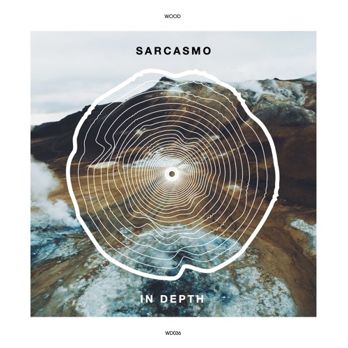 PREMIERE: Sarcasmo - Wait A Minute (Original Mix) [WOOD]