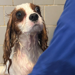 OK-S2S Jamn-25-(1) starting to drift-(fragment) 1-10-25