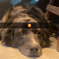 Hisler (Çınar G feat. Yankı)