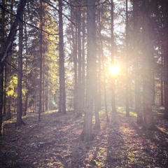 season2season (prod @meta)