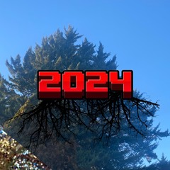 The Ducks!!!! (2024/ How Far We've Come)