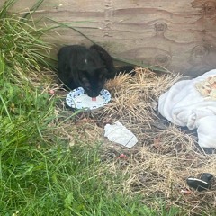 night on FN street (prod.ayoleap)