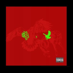 03 THE WXLF AND THE EAGLE BOTH DIED