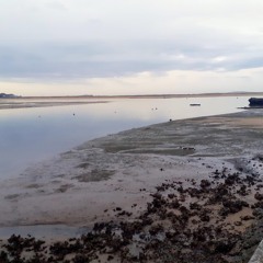 Journey Of The Mind 3 (vinyl only)