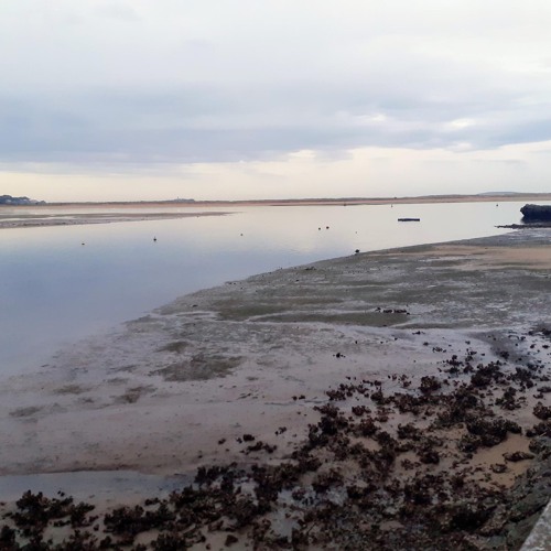 Journey Of The Mind 3 (vinyl only)