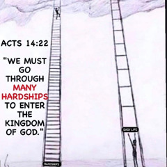 Dr. Edvise-King Of All Kings