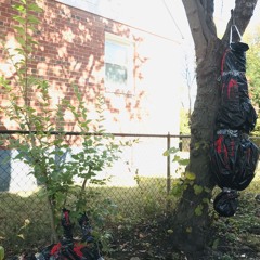 *2k24* COLENASCUS - ANGEL BLOOD IN MA CUP (PROD. MCDEVOUR) [SSWA]