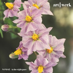 VONDA7 (Friend, Anyone?) (Original Mix) [art | werk]