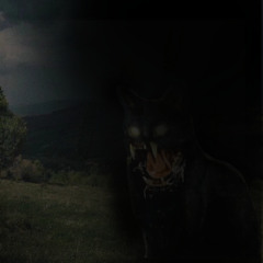 05. BLACK CAT CRUELTY(meedow)