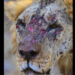 Outta Time (Prod. By Rico)