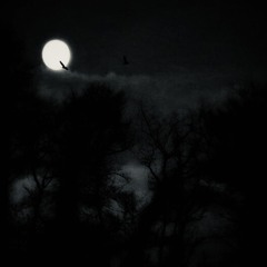 UNTITLED-17