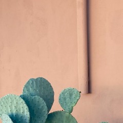 girls prod. @whoiszane (lil peep cover)