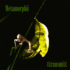 Metamorphii