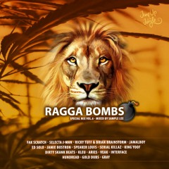 RAGGA BOMBS - Special Mix Vol.6 (Mixed By Sample Lee)