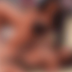 VIDEOS*DA.! kamylinha polêmica twitter ance fun kamylinha ance fun vazados da kamilinha