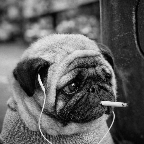 why does smoking cigarettes make me tired Health Effects of Smoking on Your Body