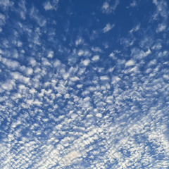 8月/teardrop