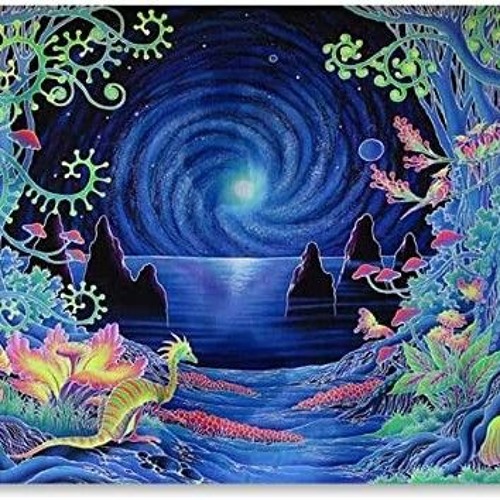 #77⪮ Transcripts Of Amazonia No.3// Ecstatic Dance