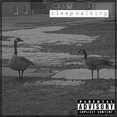 sleepwalking (LOFI / CHILLHOP beat) - fermionictrees