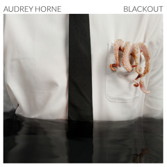 Audrevolution
