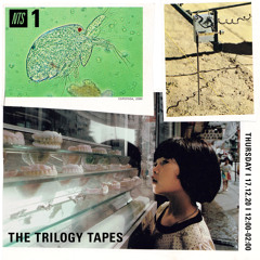 TTT NTS 17.12.20