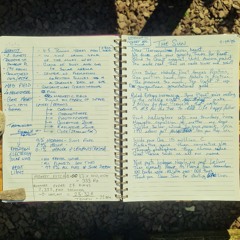 The Sun (Poem & Pitch + Tempo Notes)