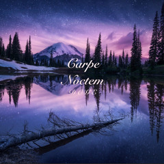 Carpe Noctem