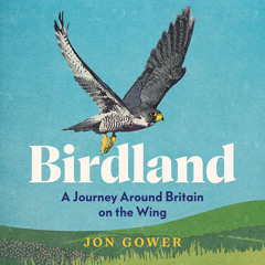 Birdland: A Journey Around Britain on the Wing, By Jon Gower, Read by Jon Gower
