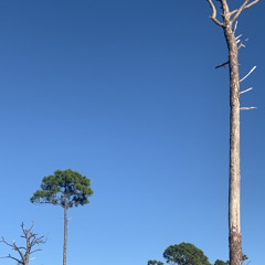 heylog - coincidence (slowed)