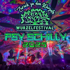 Psy Schilly @ Wurzelfestival 2025