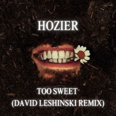 Too Sweet - Hozier (David Leshinski Remix) (Extended Mix)