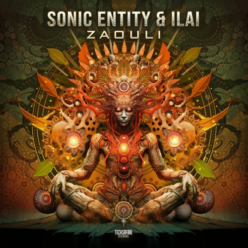 Sonic Entity & Ilai - Zaouli | Out now @ Techsafari records [SAMPLE]