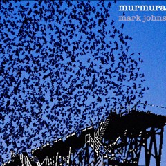 murmuration