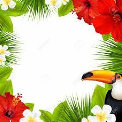 Tropica