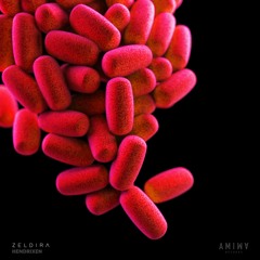 PREMIERE: Hendrixen - Zeldira (Original Mix) [AMIWA]