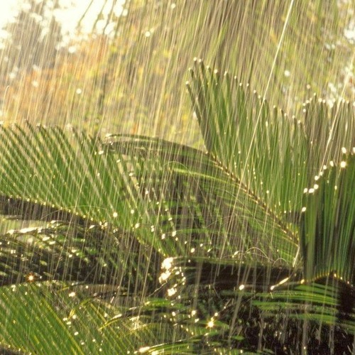 & Mopri - Chuva de verão [222]