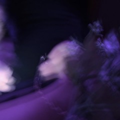 BVLGARI / Ccn【cover】