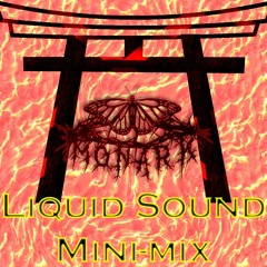 Liquid Sound Mini Mix