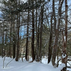 Adam Buynicki - Test (Preliminary Mix)