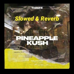 Thrife - Pinapple Kush (slowed + Reverb)